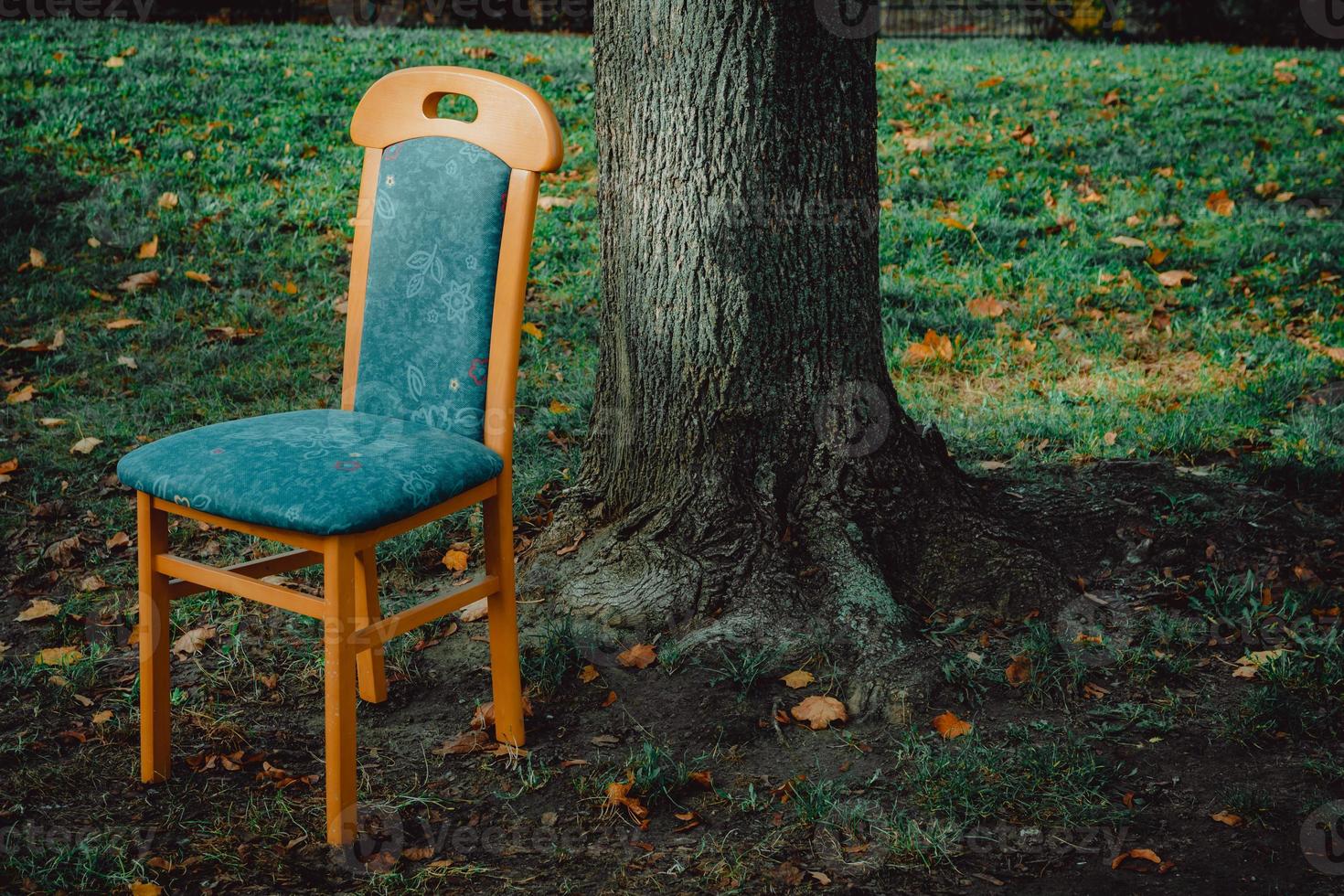 a chair in front of a tree photo