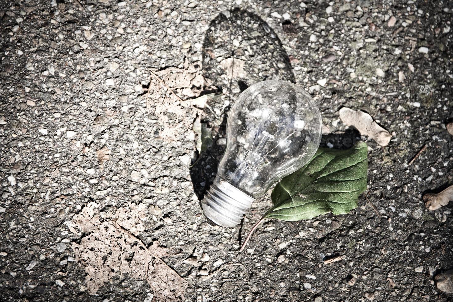 lightbulb with green plant leaf in nature photo