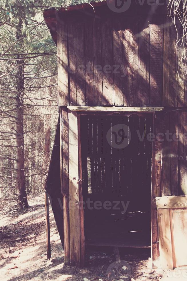 old wooden shed in a forest photo