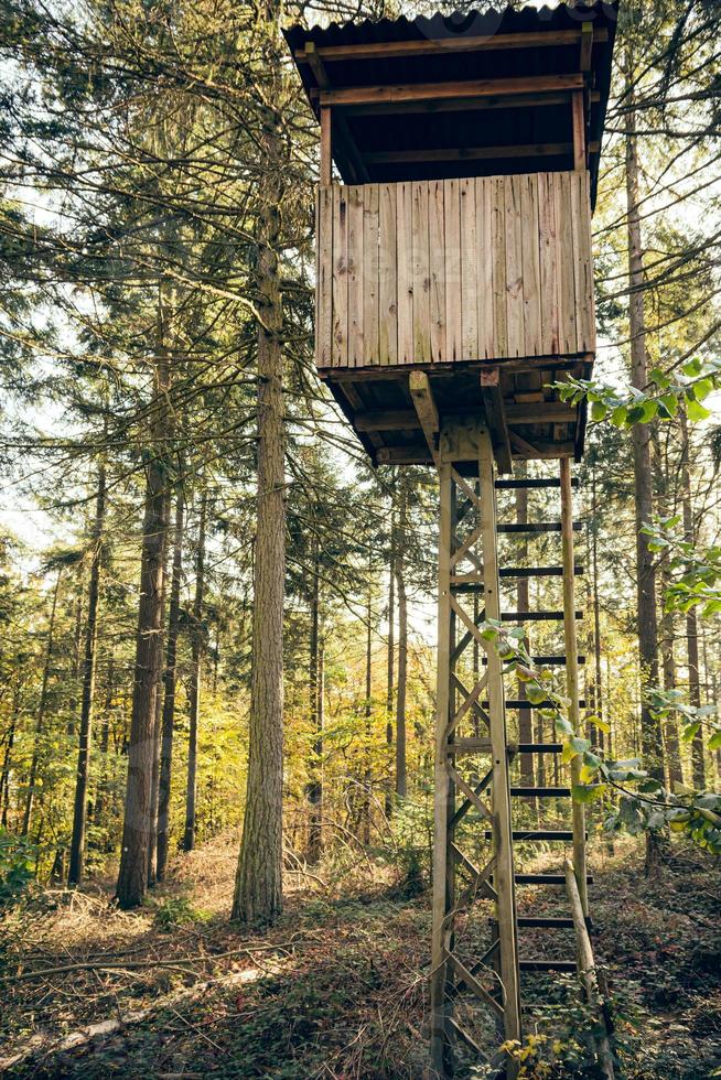 hunting stand near a forest photo