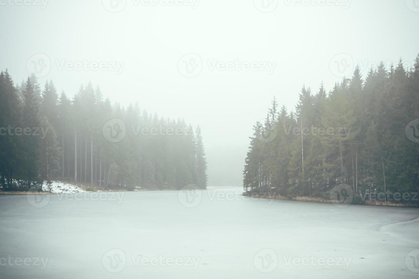 Forest lake in fog photo