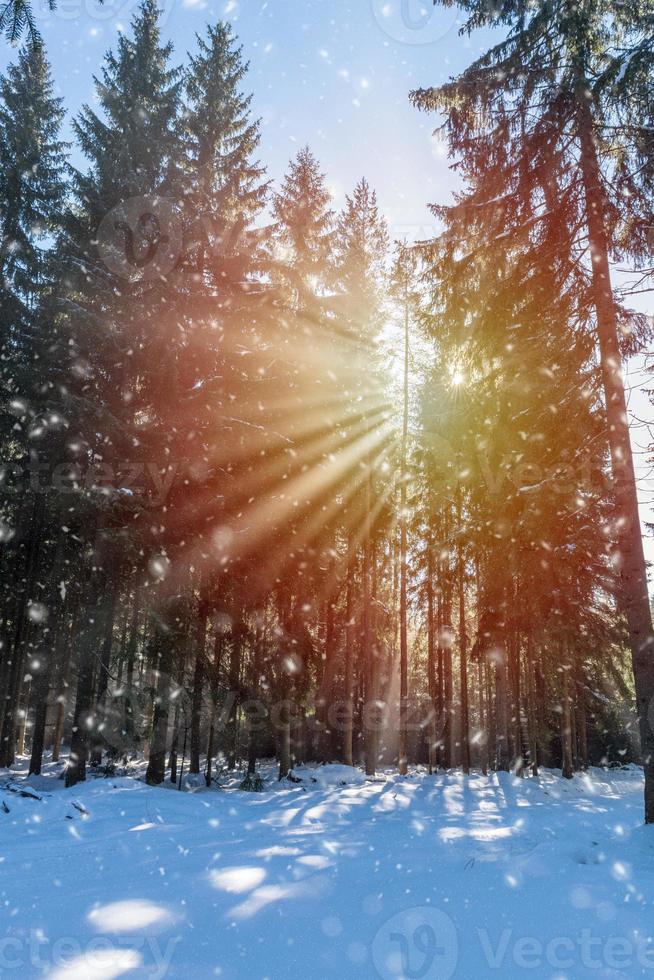 paisaje invernal con rayos de sol y nieve que cae foto