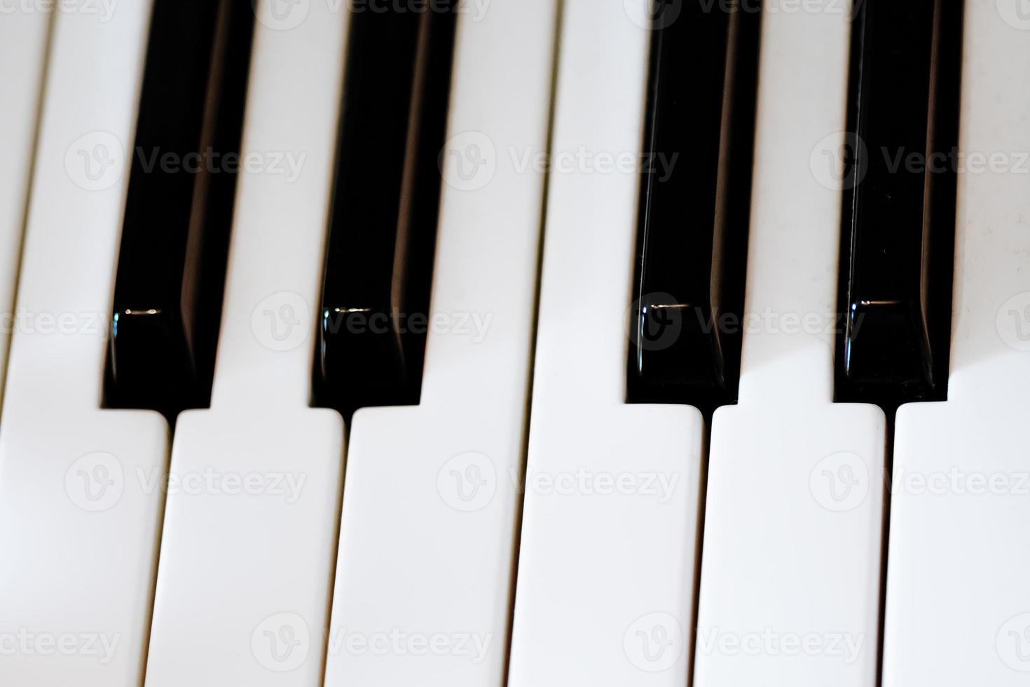 piano keys in close up photo
