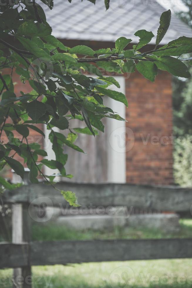 Tree branch covering view of old building photo