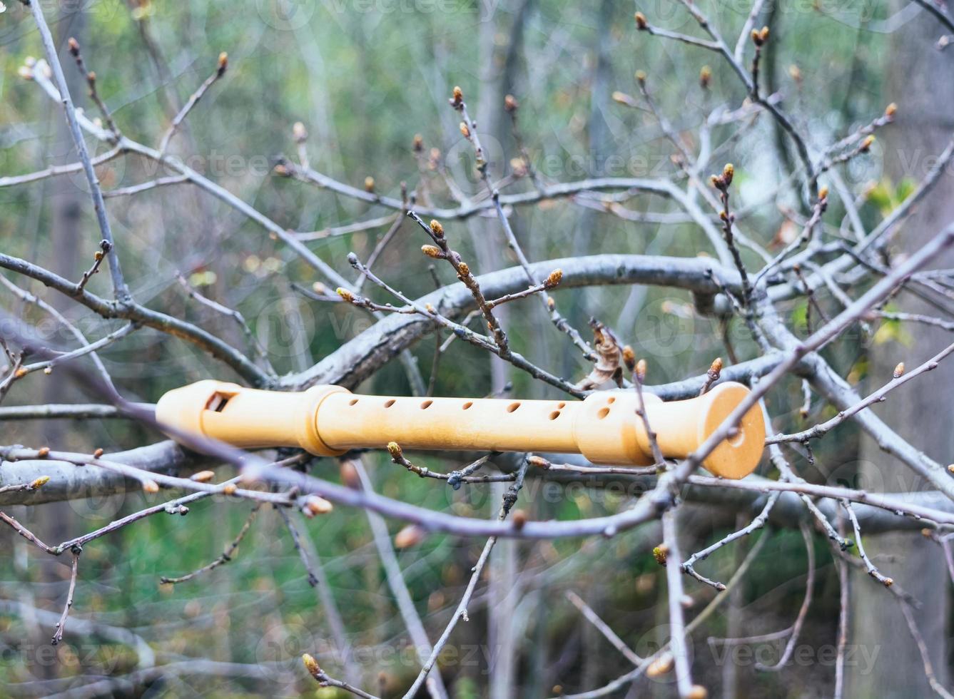 flute on a branch photo