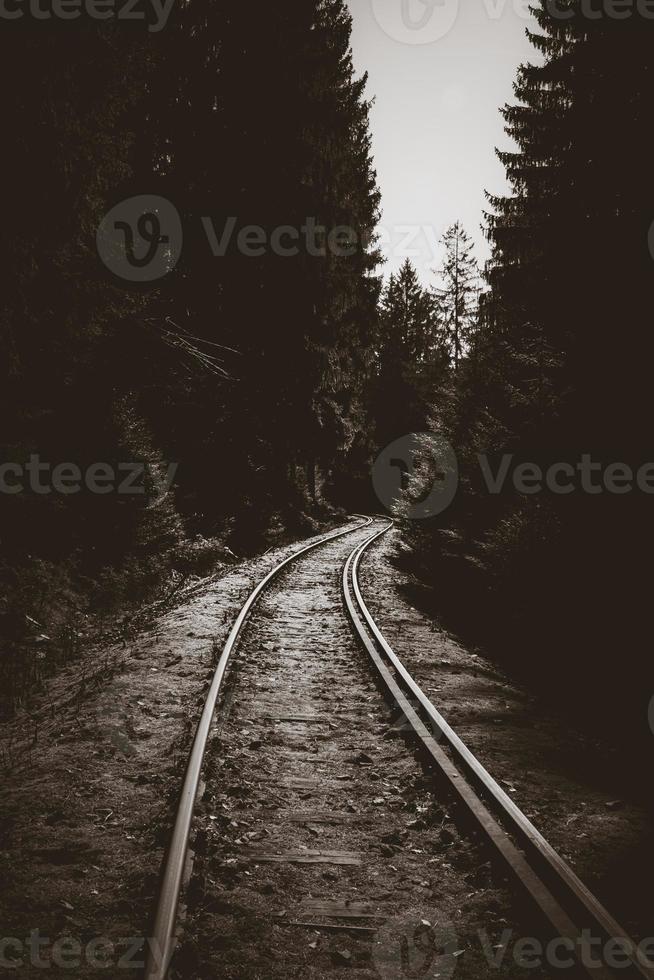 Railway track in the forest photo