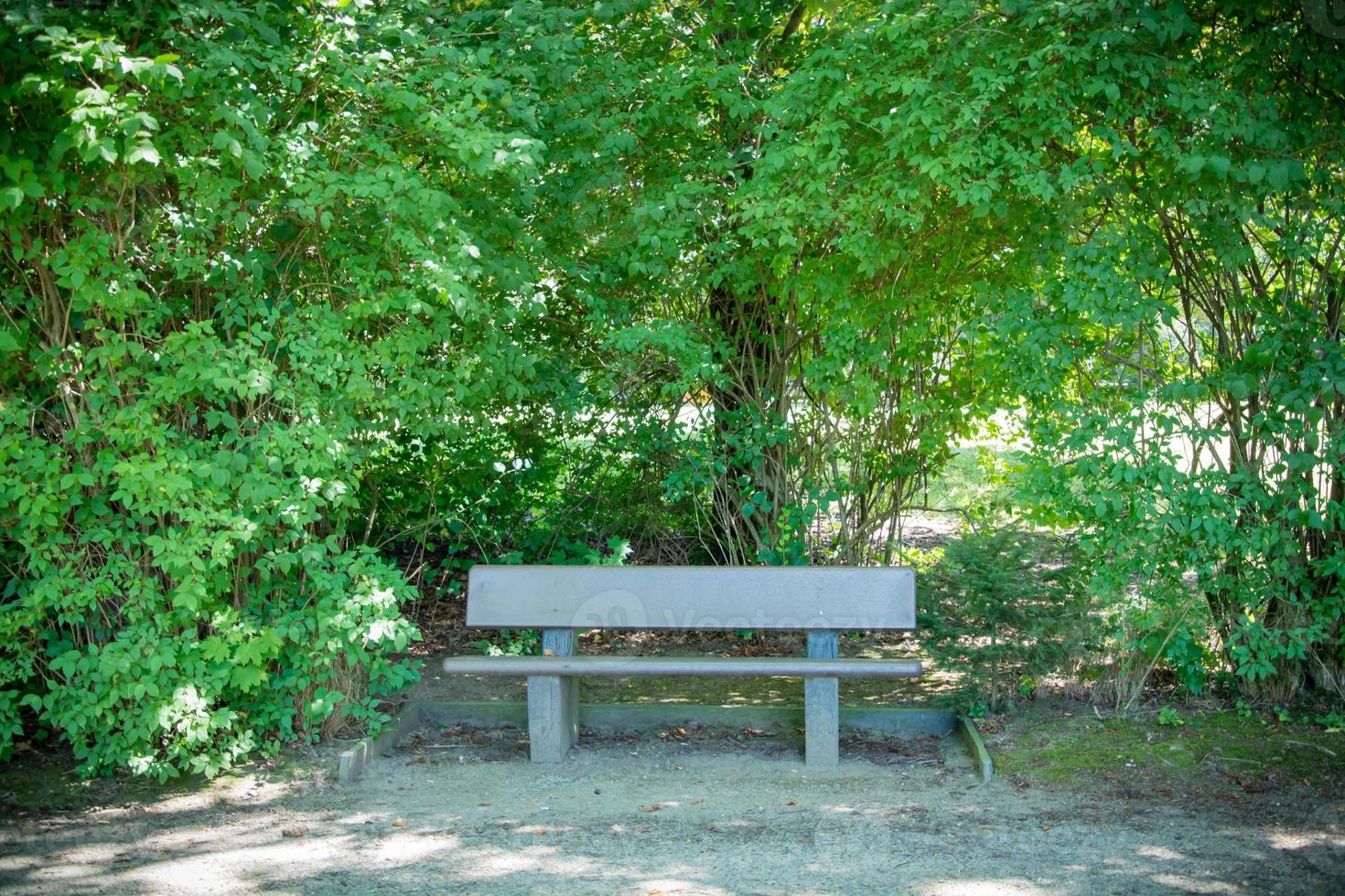Wooden bench in city park photo
