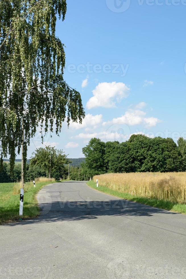 country road in summer photo