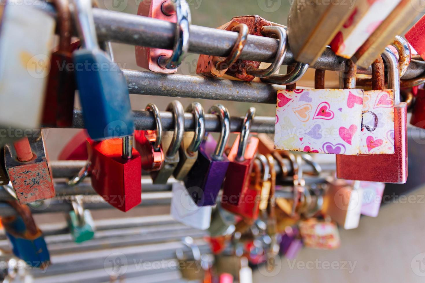 love locks in close-up in nature photo