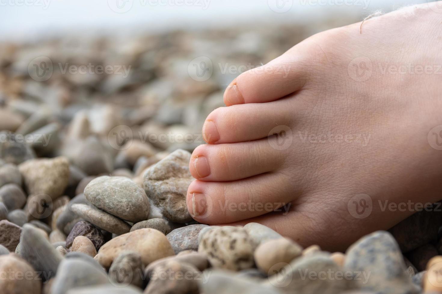 Partial view of a human bare foot on pebbles photo