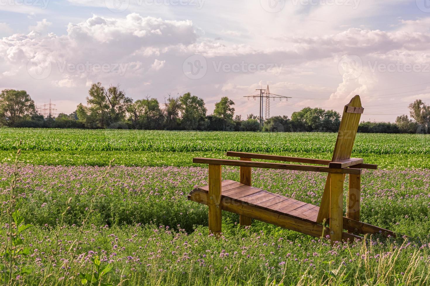 sillón de madera al aire libre en un campo agrícola foto