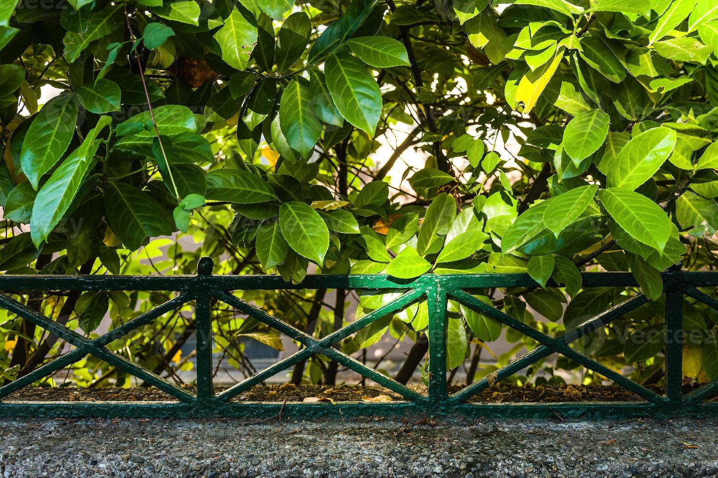 an old rusty metal fence photo