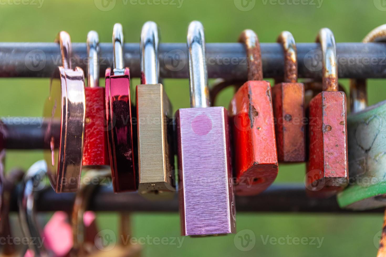 love locks in close-up in nature photo