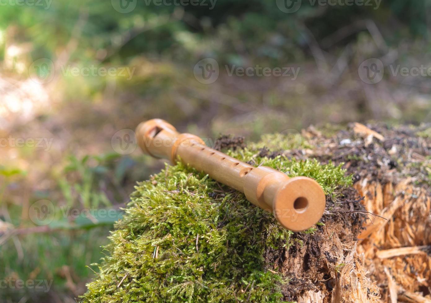 Flute on a tree trunk photo