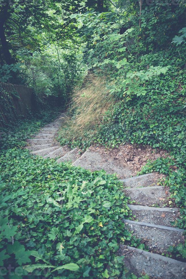 stone stairs in the wilderness photo