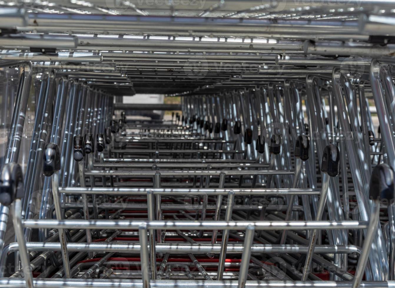 Row of shopping carts photo