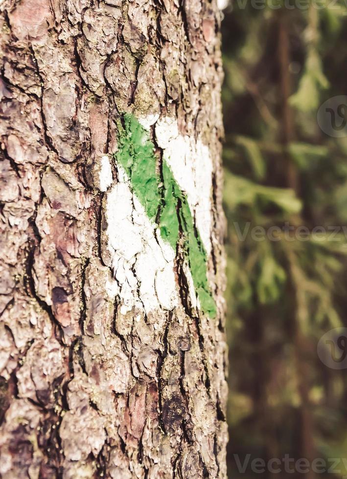 Mark on the tree photo