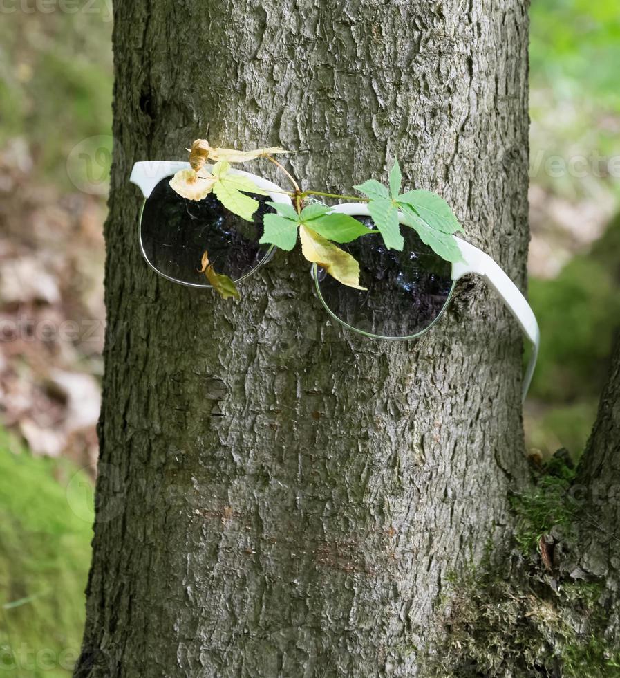 Glasses on tree trunk photo