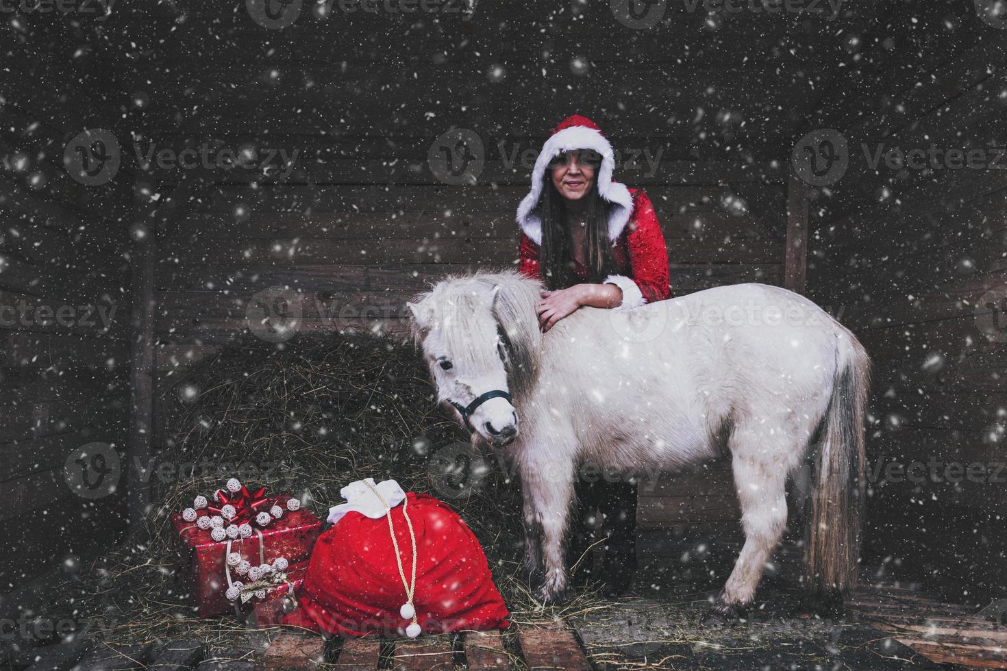 a christmas woman with gifts and a white horse photo