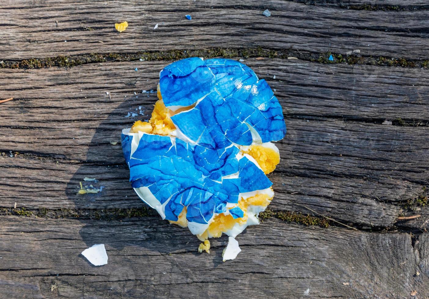 A blue crushed egg photo