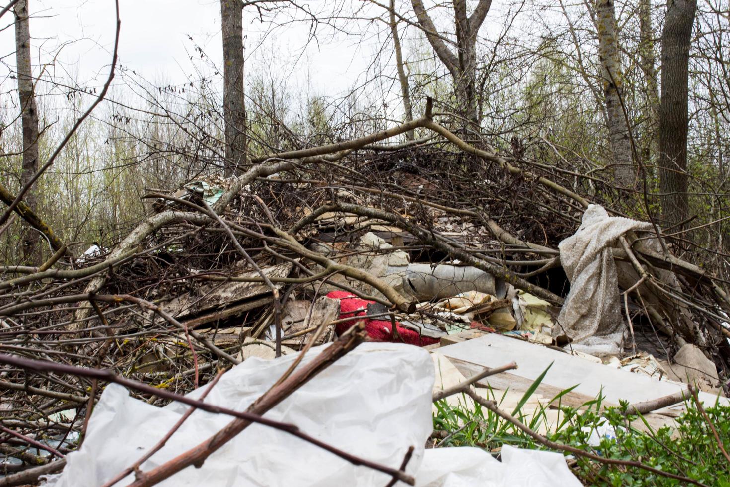 Garbage dump in the forest near the road. Bottom up view photo