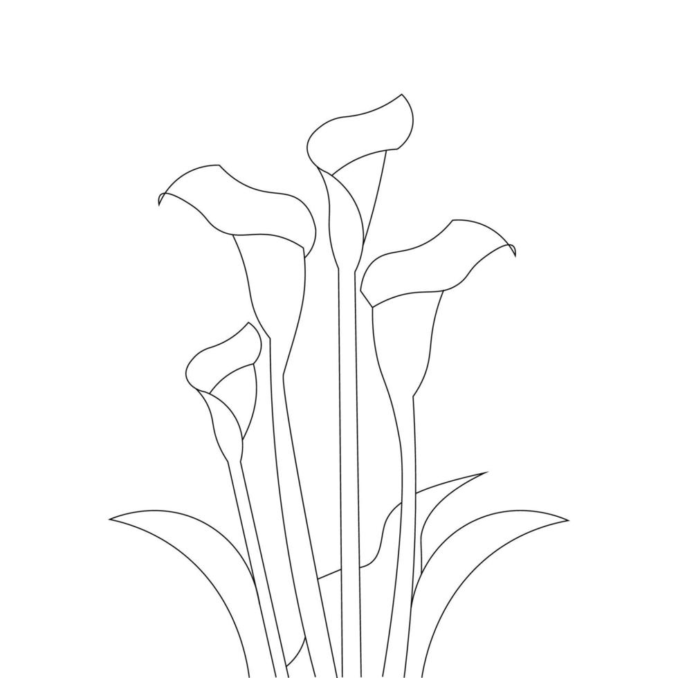 calla flor niños dibujo lineal página de libro para colorear ilustración para imprimir vector