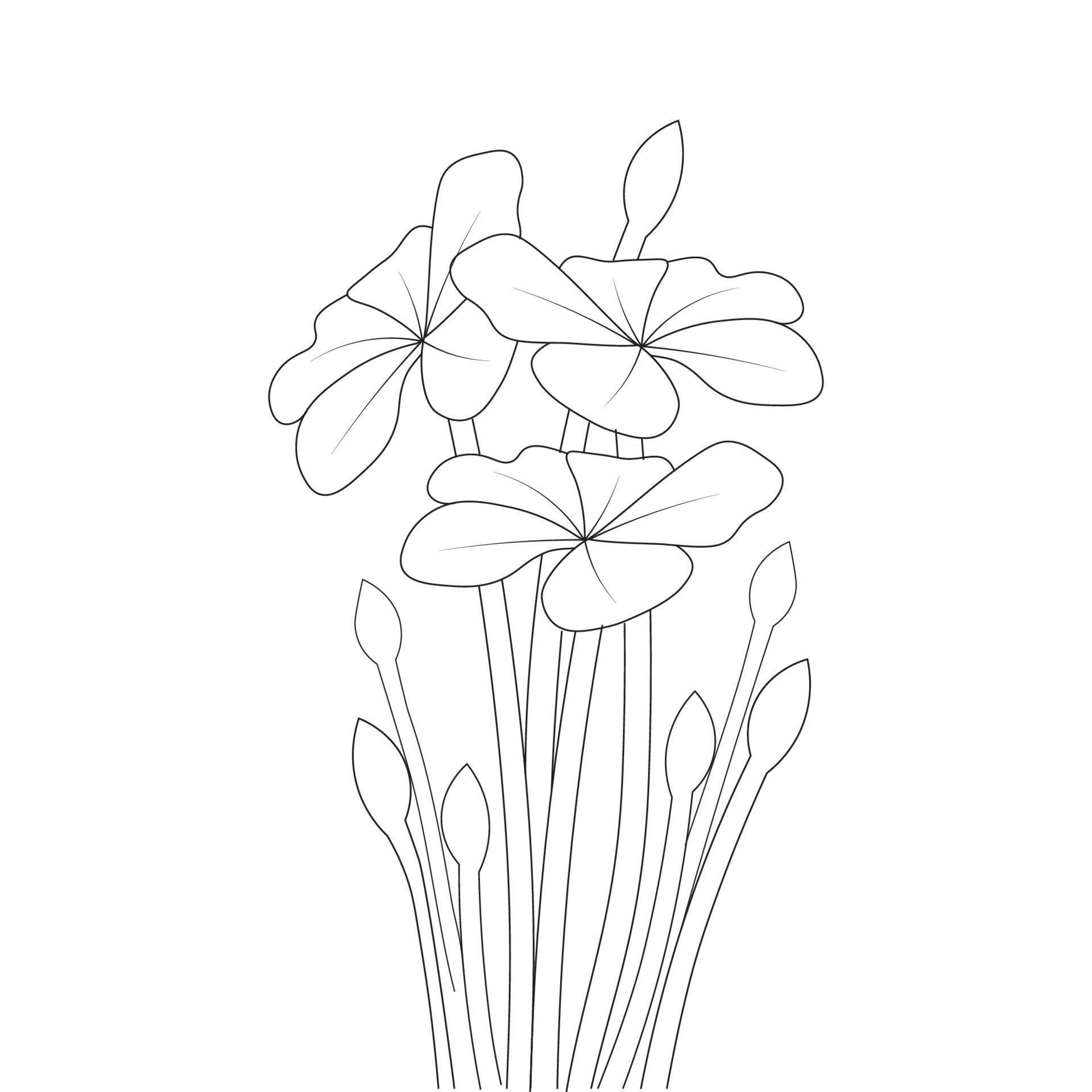 gardening blooming flower illustration of linear outline coloring page