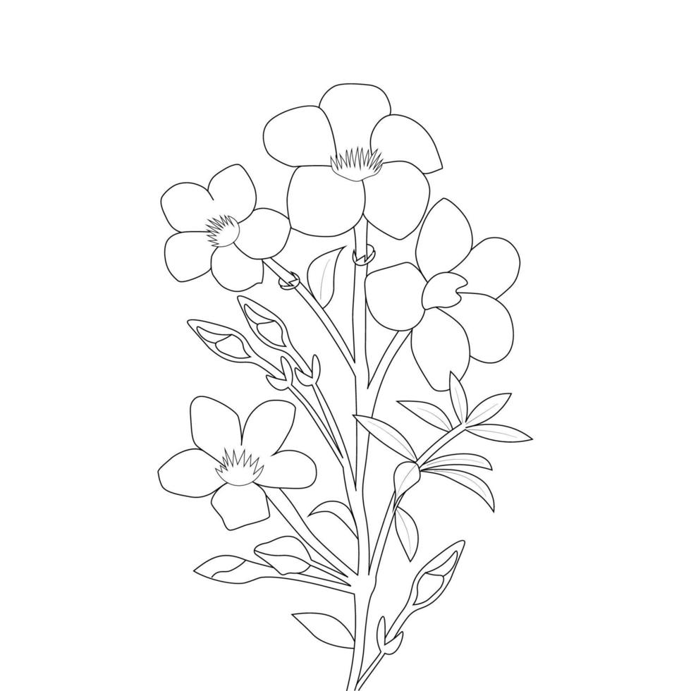 allamanda flower coloring page line art with blooming petals and leaves illustration vector