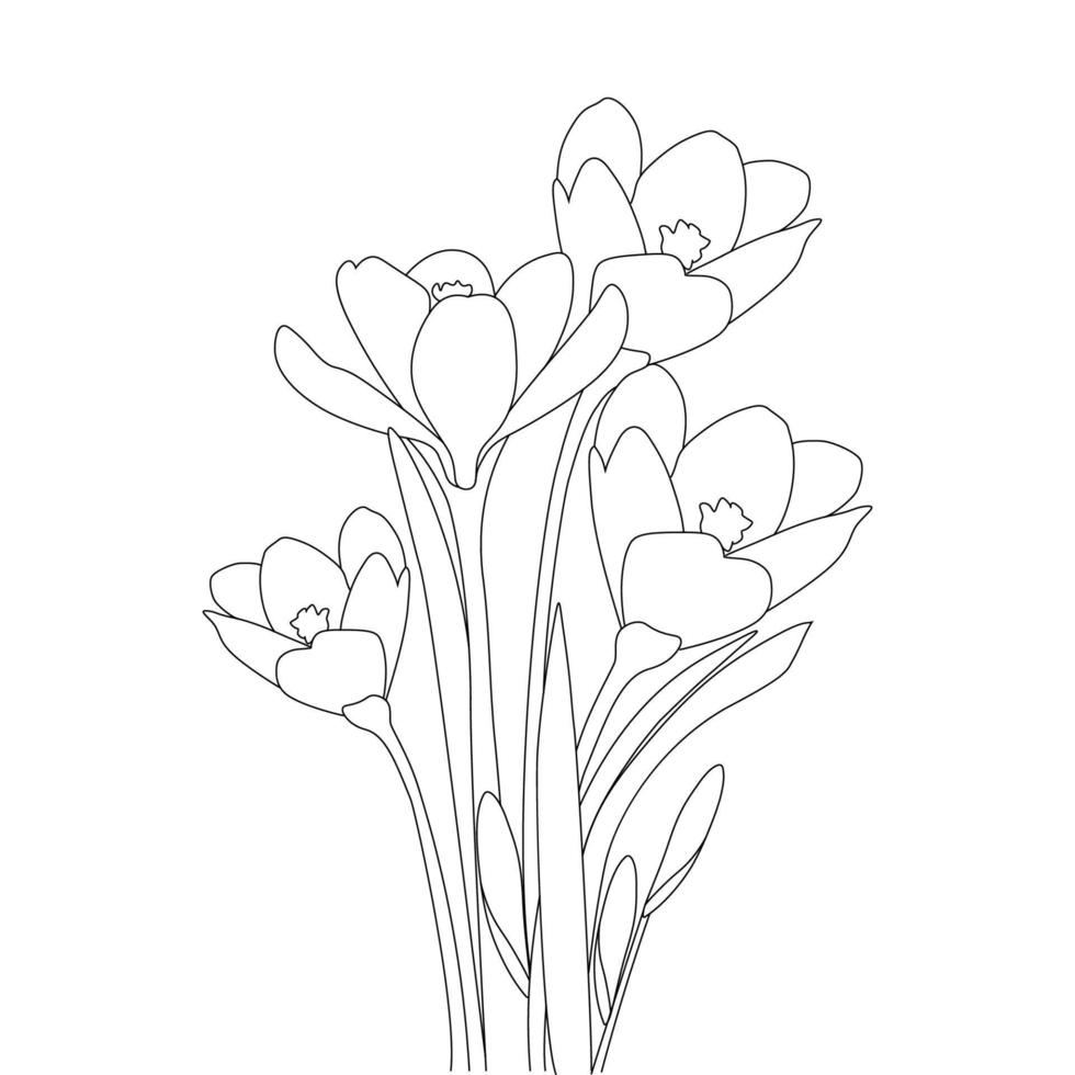 saffron seasonal flower hand drawn line art design on black background vector