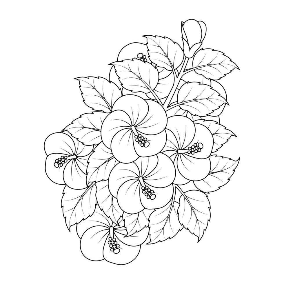 diseño gráfico vectorial de arte de línea de flor de hibisco común de página para colorear con forma detallada vector