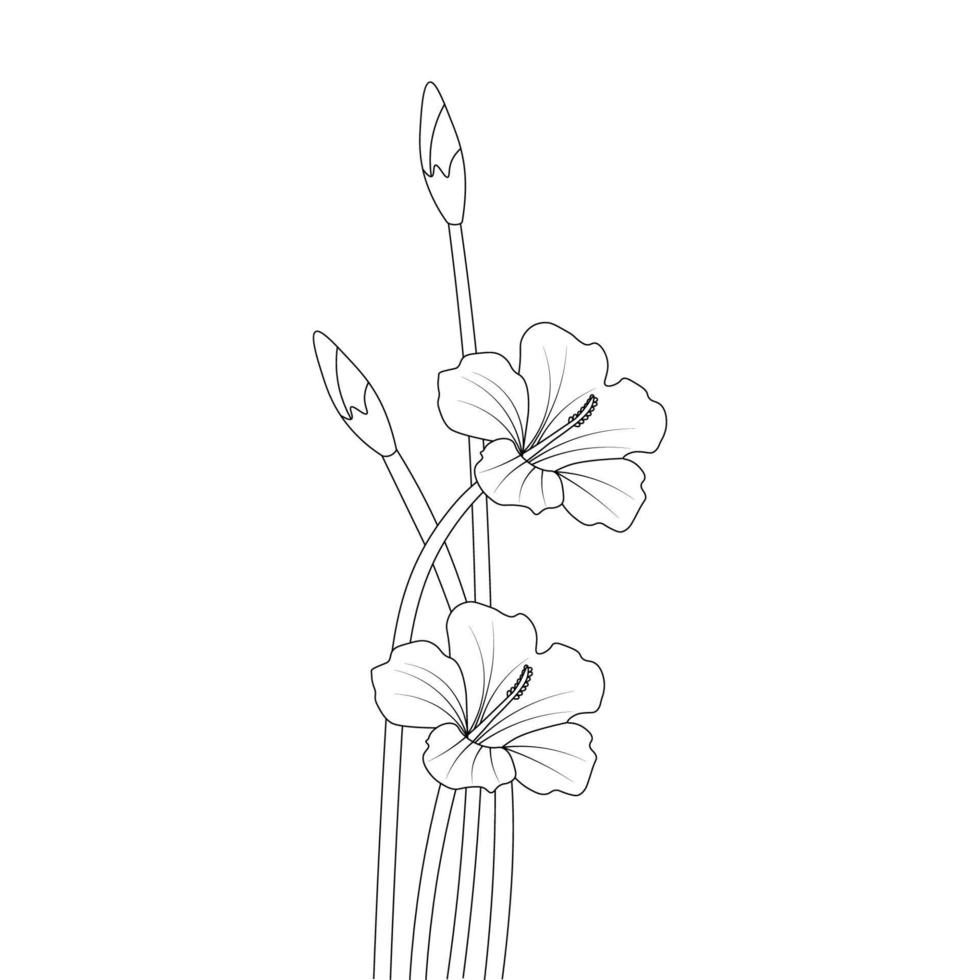 rose of sharon flower sketch of pencil line drawing with black stroke coloring page vector