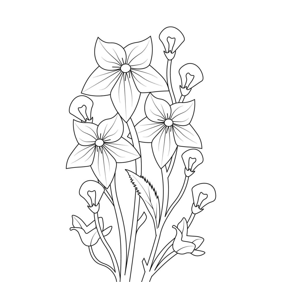 balloon flower coloring page line art with blooming petals and leaves illustration vector