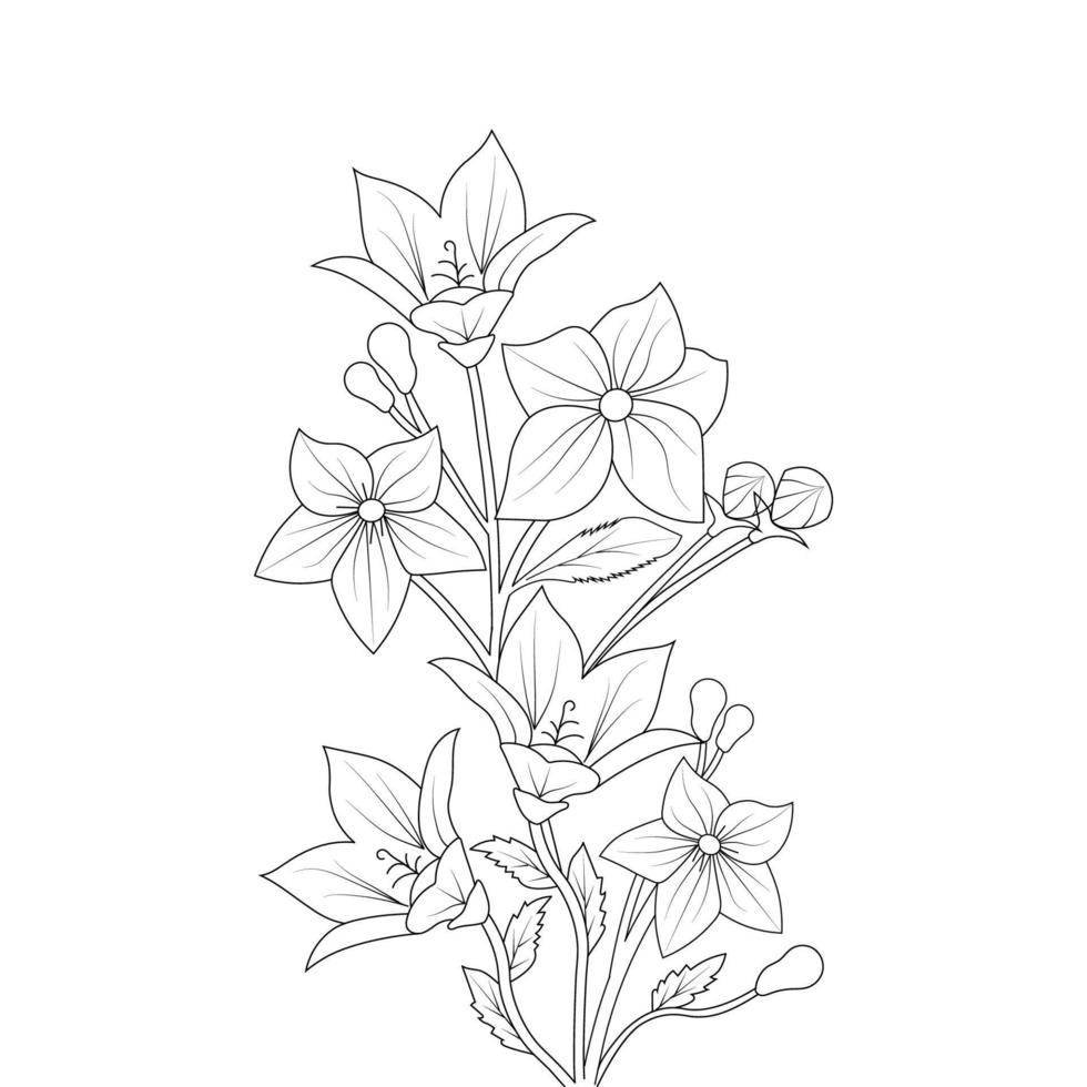 balloon flower coloring page line art with blooming petals and leaves illustration vector