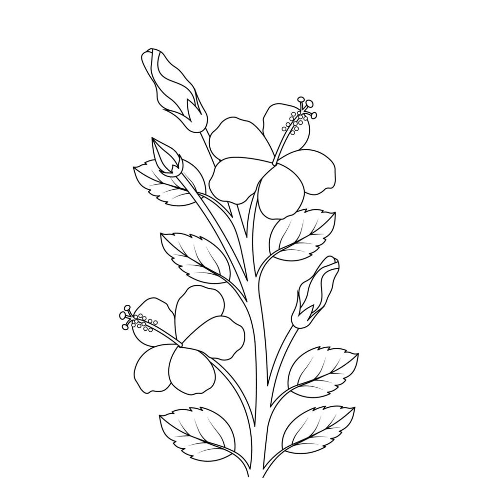 hibiscus flower and bud coloring page illustration with line art design vector