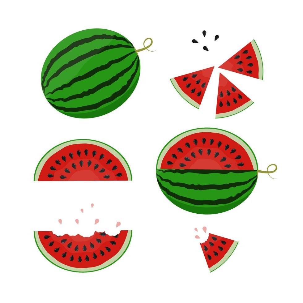 Fresh and juicy slice and whole watermelon set vector