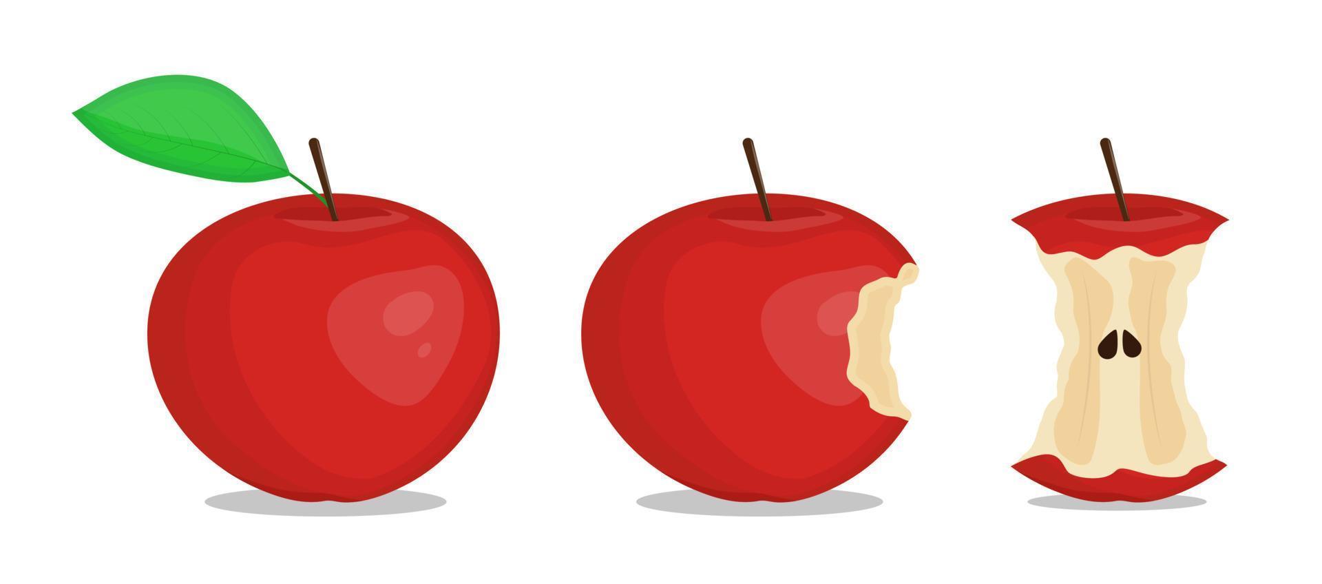 Red apple vector set. Whole, bitten and eaten fruit.