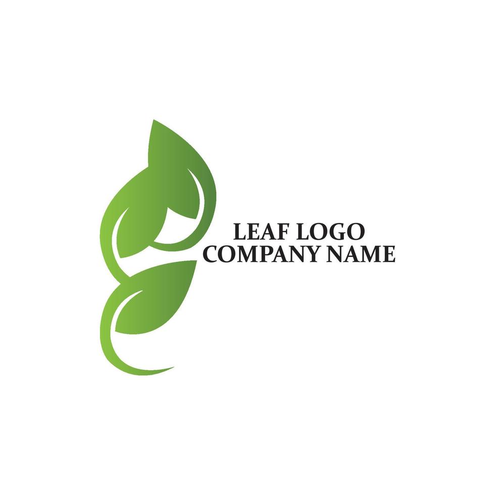 Simple green leaf icon vector logo