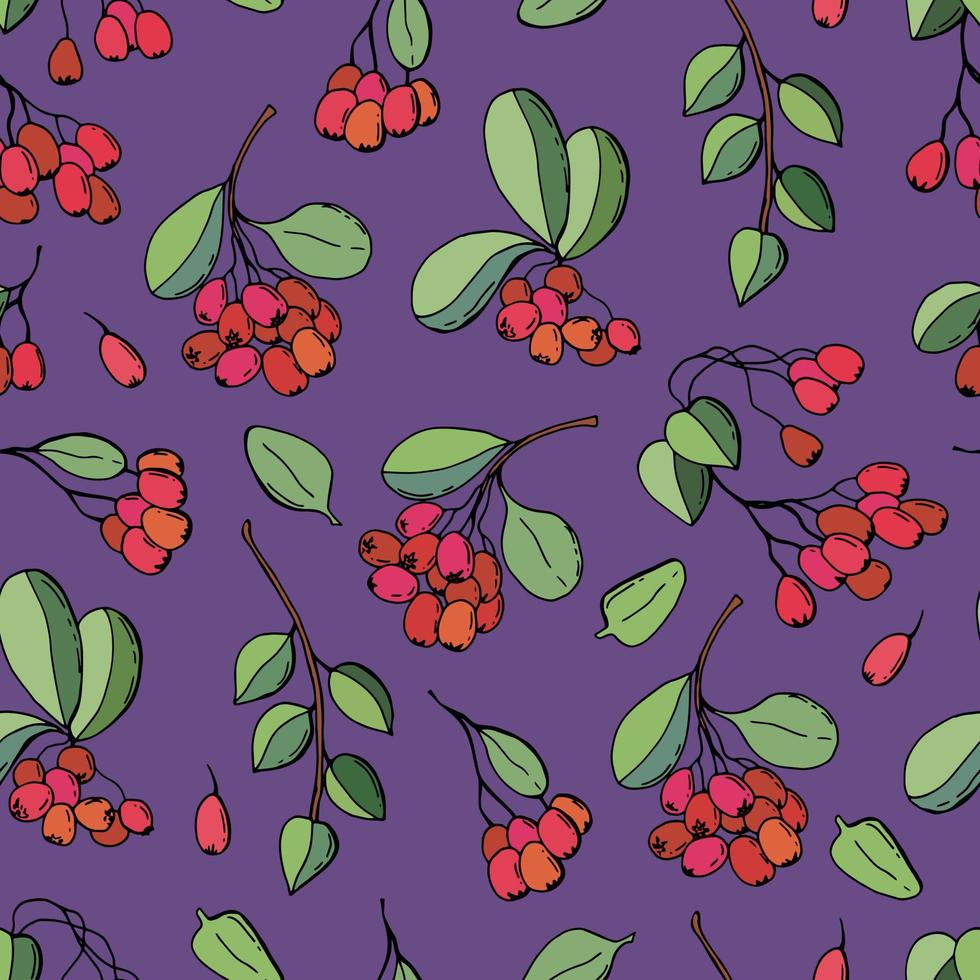 Berry seamless pattern. vector