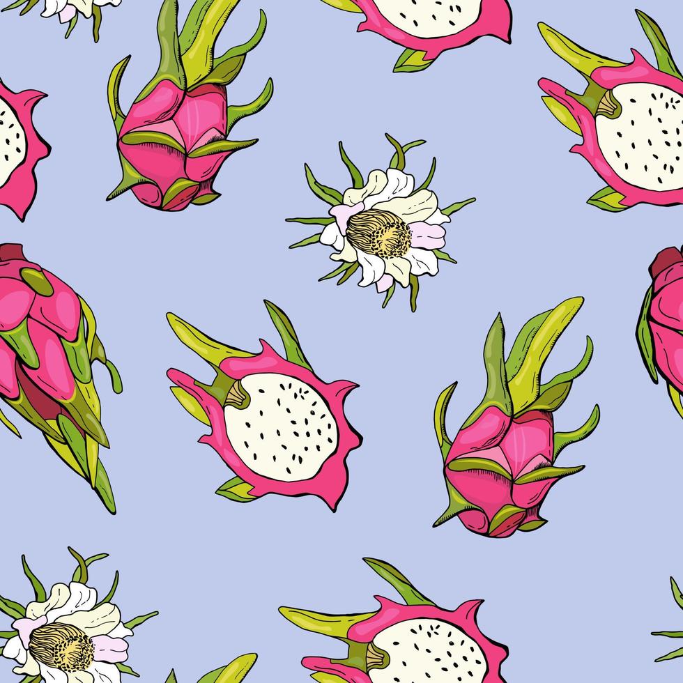 Red dragon fruit. Fruit seamless pattern with pitahaya. Design for fabric, textile, wallpaper, packaging. vector