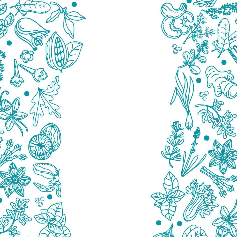 plantilla para empacar hierbas y especias, elemento dibujado en estilo garabato. siluetas de elementos vegetales. hierbas y especias: chile, vainilla, agracejo, romero, laurel, etc. diseño en un lineal de moda vector