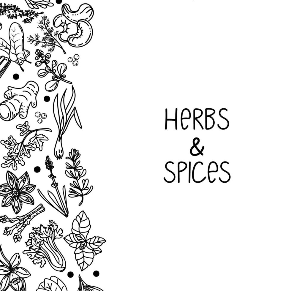 Template for packing herbs and spices, drawn element in doodle style. Silhouettes of plant elements. Herbs and spices inscription, handwritten. Chili, vanilla, barberry, rosemary, bay leaf, etc vector