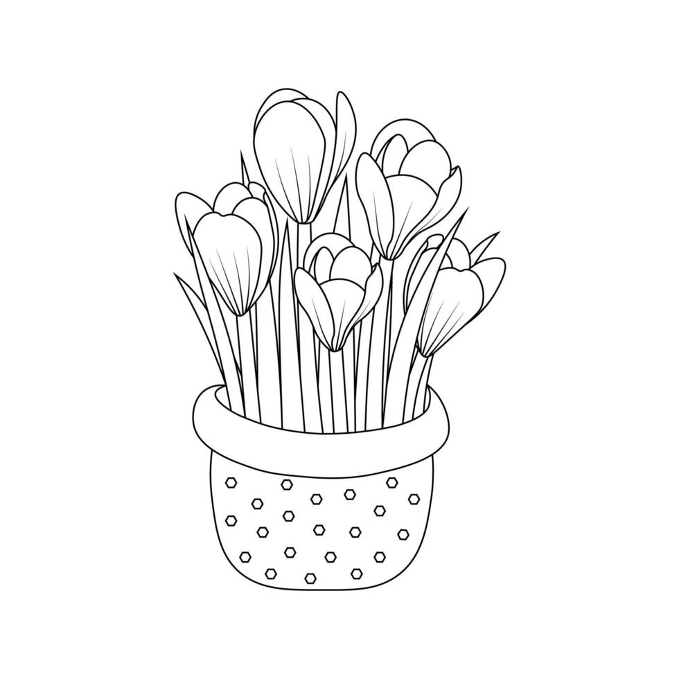 crocus flower coloring page hand drawn line art design with decorative flower vase vector