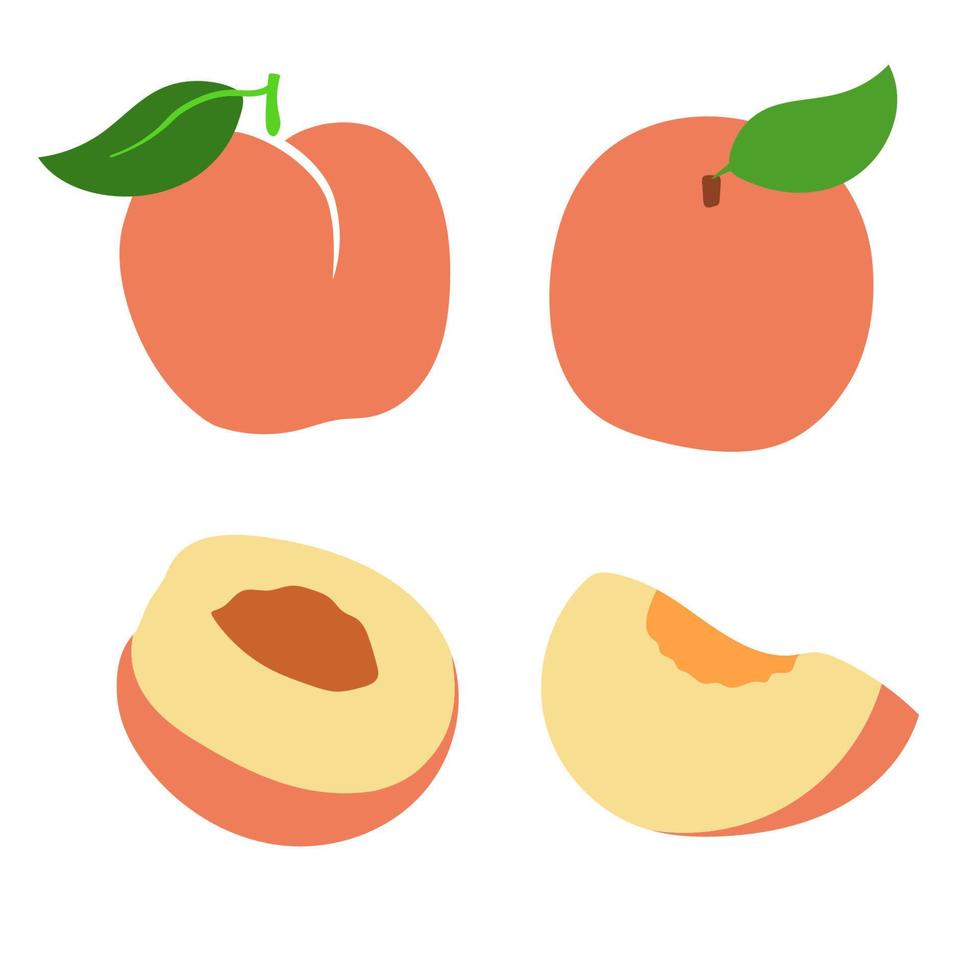 A set of flat fruit. Ripe peaches with leaves, whole, half and piece. Vector illustration.