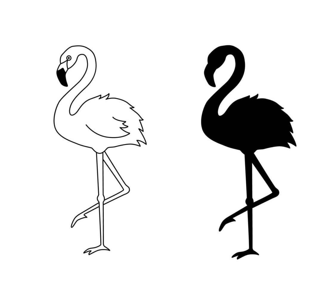 Vector illustration of flamingo in outline style is isolated on white