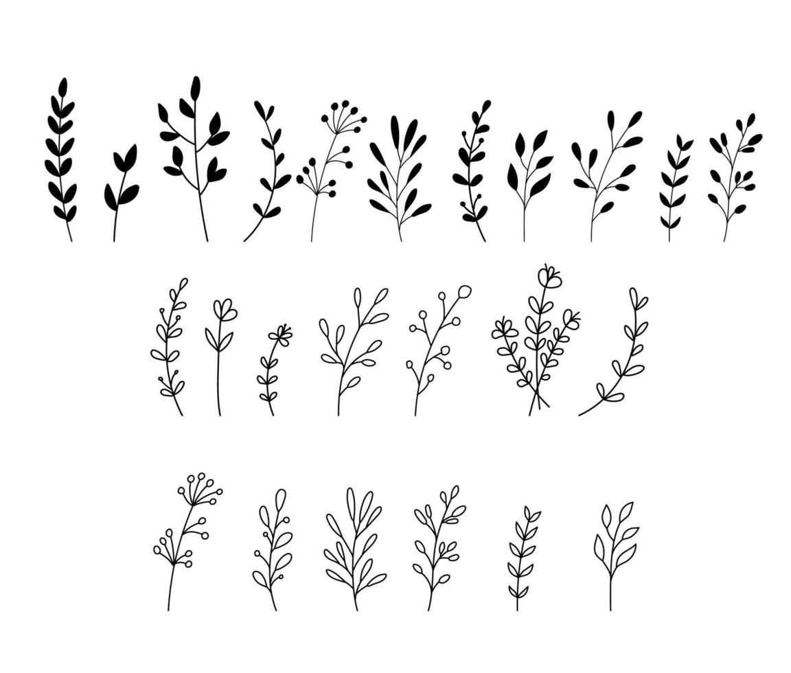 Wildflowers and flowers collection drawing line art vector. Set of Isolated simple plants and leaves in outline style on white background vector