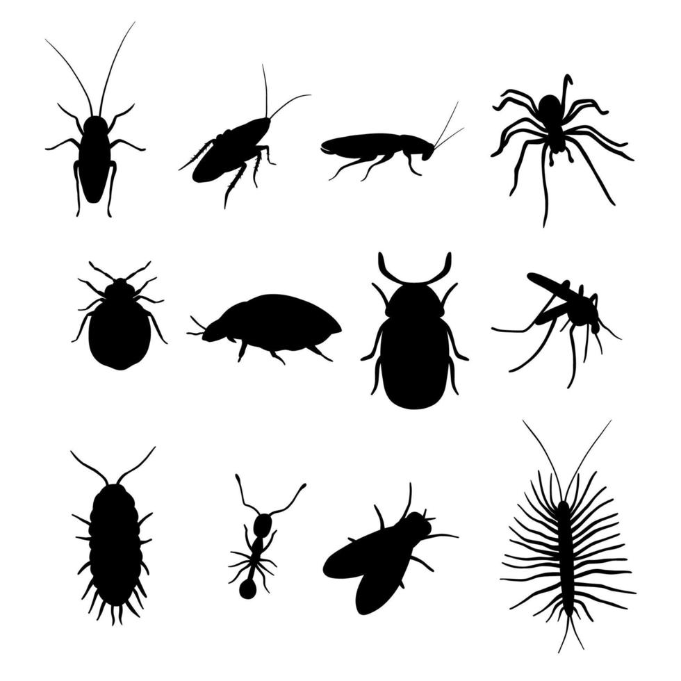 Silhouette insect set isolated on white backround. Vector illustration cockroach, spider, tick, mosquito and ant