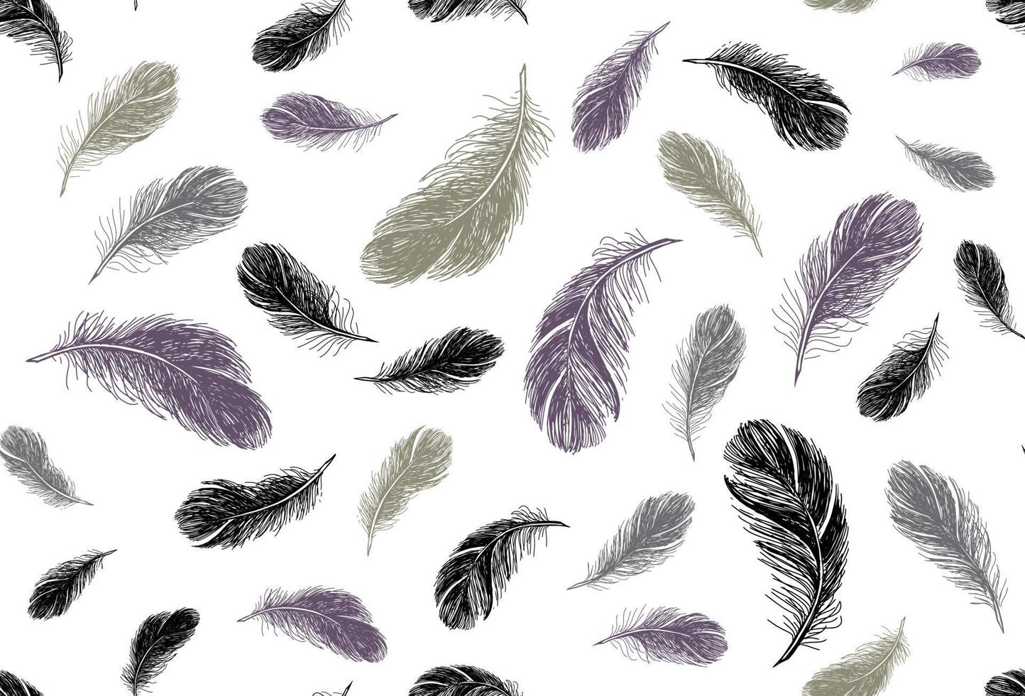 Feathers. Hand drawn sketch illustrations. vector