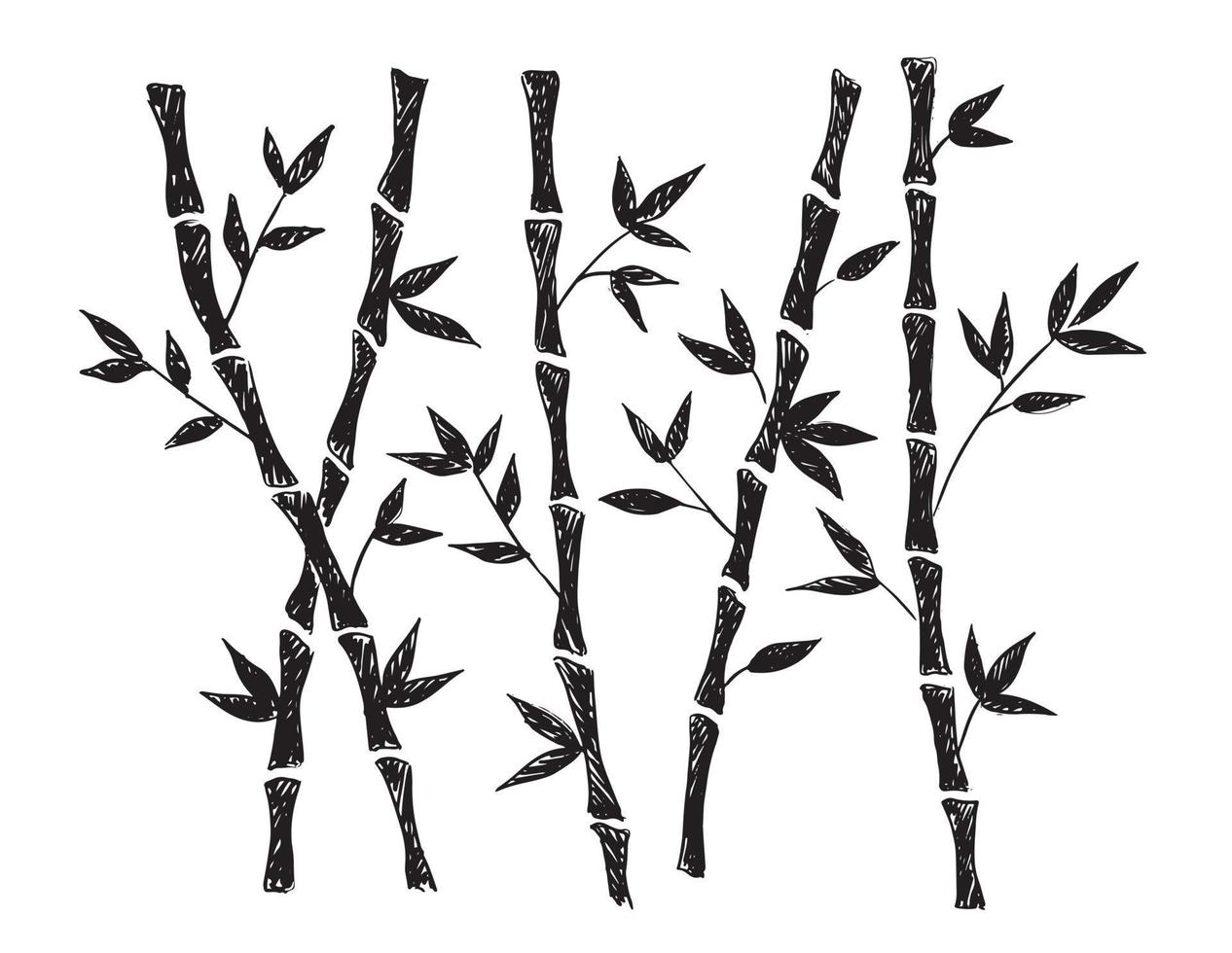Bamboo tree. Hand drawn style. Vector illustrations.