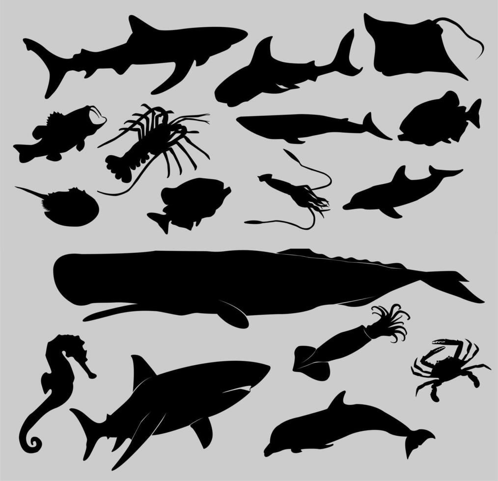 set of collections of black and white silhouettes of sea animals fish, sea life, marine life, seafood, clipart isolated on a white background 9005662 Vector Art at Vecteezy set of collections of black and white silhouettes of sea animals fish, sea life, marine life, seafood, clipart isolated on a white background 9005662 Vector Art at Vecteezy