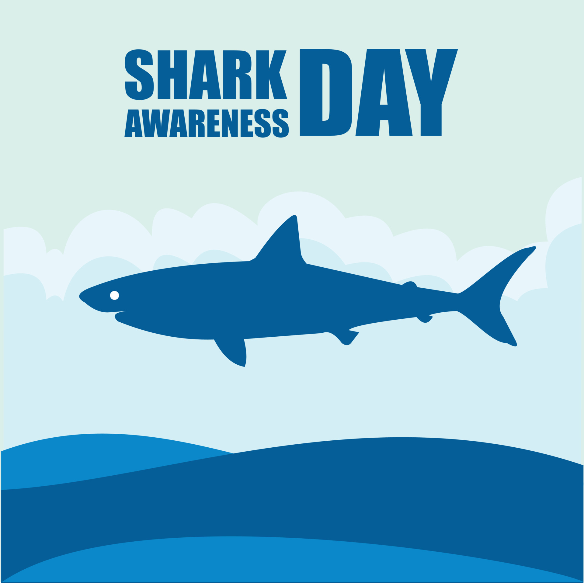 Shark Awareness Day 2024 Cara Benedetta